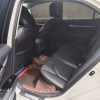 Camry 2023 2.0G Luxury Edition, Март 2023 г., пробег 49000 км. (Б/у) Передний — изображение 5