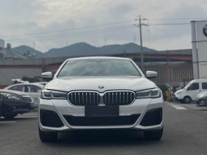 BMW 5 Series 2022 530Li Leading M Sport Package, Январь 2023 г., пробег 42000 км. (Б/у) Задний