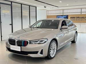 BMW 5 Series 2021 530Li Premium Luxury Package, Апрель 2021 г., пробег 60000 км. (Б/у) Задний