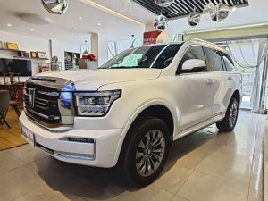 Tank 500 2022 3.0T Sports Edition 7-seater, Апрель 2022 г., пробег 48000 км. (Б/у) Полный