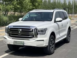 Tank 500 2022 3.0T Sports Edition Peak Edition 5-seater, Июнь 2022 г., пробег 42000 км. (Б/у) Полный