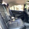 Corolla 2021 1.2T S-CVT Elite PLUS Edition, Февраль 2021 г., пробег 52000 км. (Б/у) Передний — изображение 8