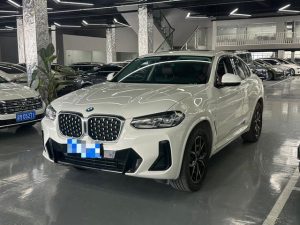 2022 BMW X4 xDrive 25i M Sport Package, Июль 2022 г., пробег 55000 км. (Б/у) Полный