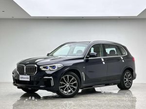2022 BMW X5 xDrive 30Li Exclusive M Sport Package, Сентябрь 2022 г., пробег 29000 км. (Б/у) Полный