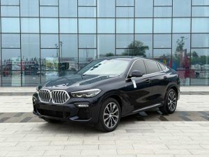 2021 BMW X6 xDrive30i M Sport Package, Февраль 2021 г., пробег 78000 км. (Б/у) Полный