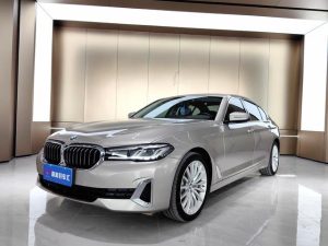 2021 BMW 5 Series 530Li Exclusive Luxury Package, Апрель 2021 г., пробег 54000 км. (Б/у) Задний