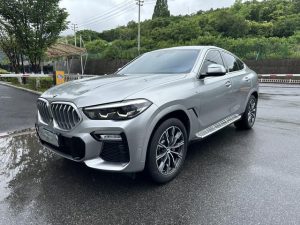 2021 BMW X6 xDrive30i M Sport Package, Июнь 2021 г., пробег 66000 км. (Б/у) Полный
