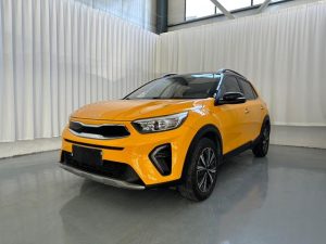 2021 Yipao facelift 1.4L CVT sunroof model, Август 2022 г., пробег 36000 км. (Б/у) Передний