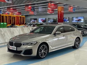 2021 BMW 5 Series 530Li Leading M Sport Package, Апрель 2021 г., пробег 53300 км. (Б/у) Задний