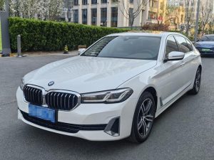 2021 BMW 5 Series 530Li Leading Luxury Package, Декабрь 2020 г., пробег 84000 км. (Б/у) Задний