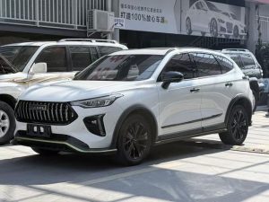 Haval Chitu 2021 Sport Edition 1.5T Platinum Rabbit, Август 2021 г., пробег 42300 км. (Б/у) Передний