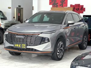 Haval Mythical Beast 2021 1.5T Smart Edition, Январь 2022 г., пробег 25000 км. (Б/у) Передний